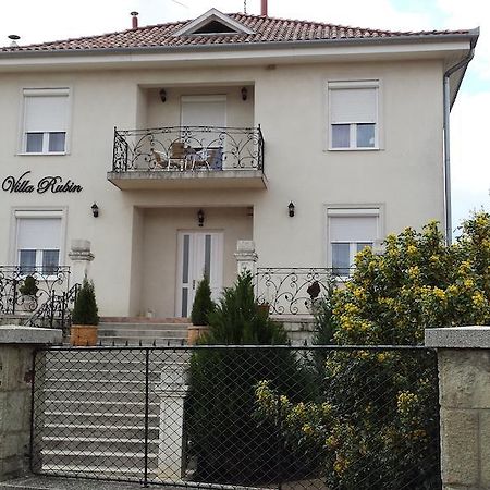 Villa Rubin Panzio Hajduszoboszlo Exterior photo