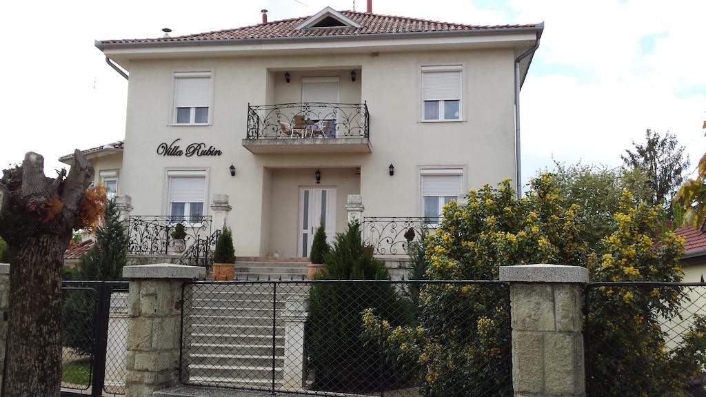 Villa Rubin Panzio Hajduszoboszlo Exterior photo